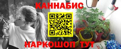 крисы Лесосибирск