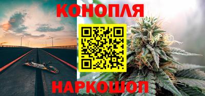 крисы Лесосибирск