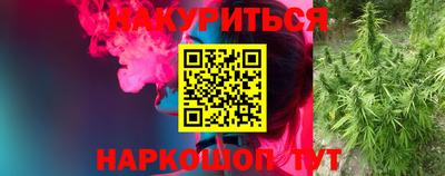крисы Лесосибирск