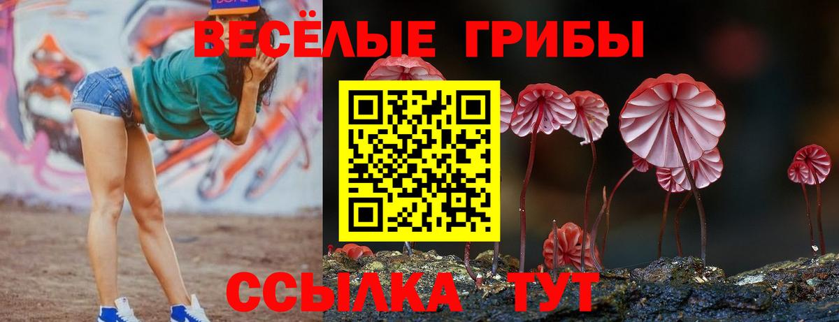 Ханты-Мансийск  купить наркотик  Вход с VPN  Псилоцибиновые грибы мухоморы  Галлюциногенные грибы мухоморы 